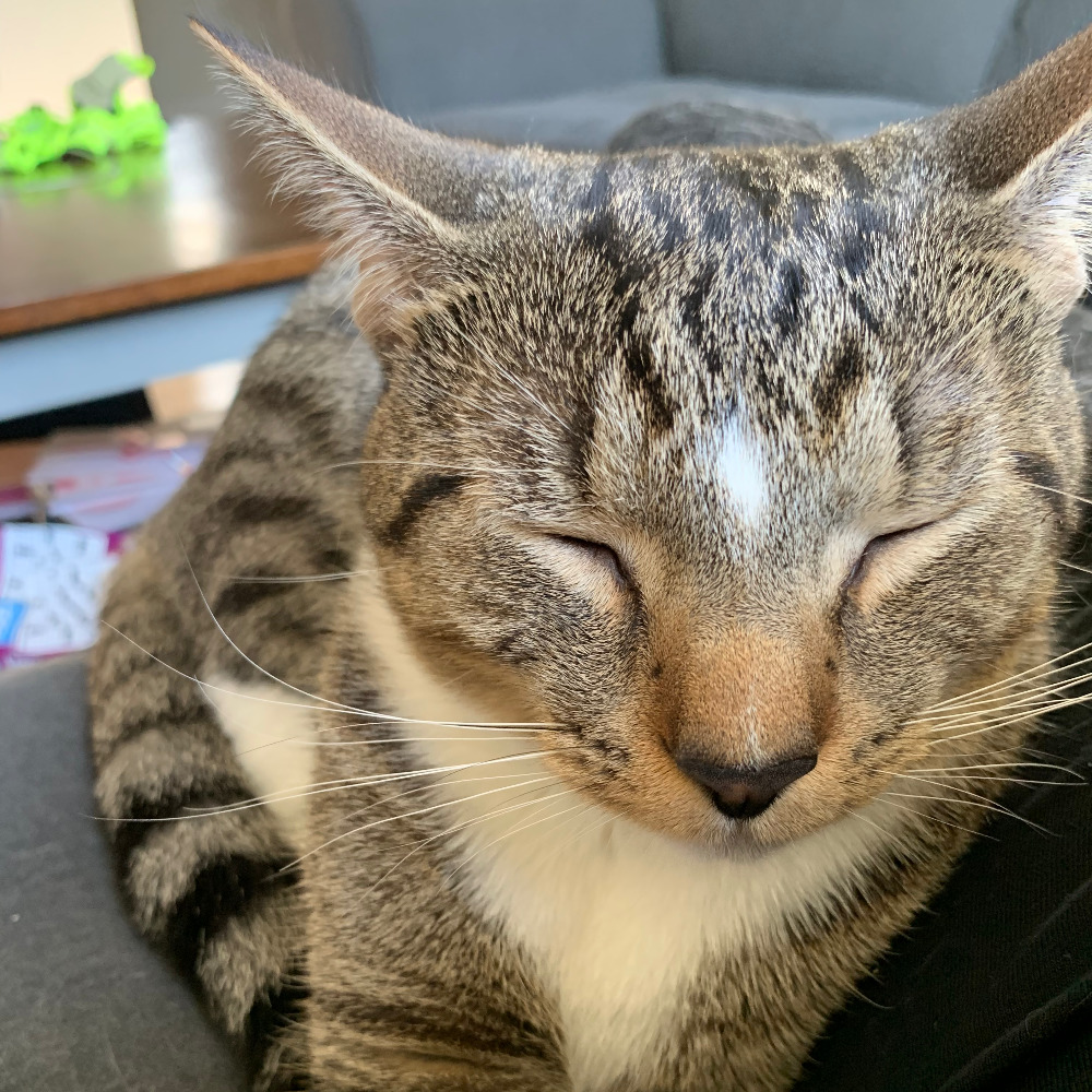 Meet your Posher, Colleen